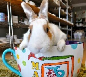 Bunny sitting in a giant hand-painted teacup