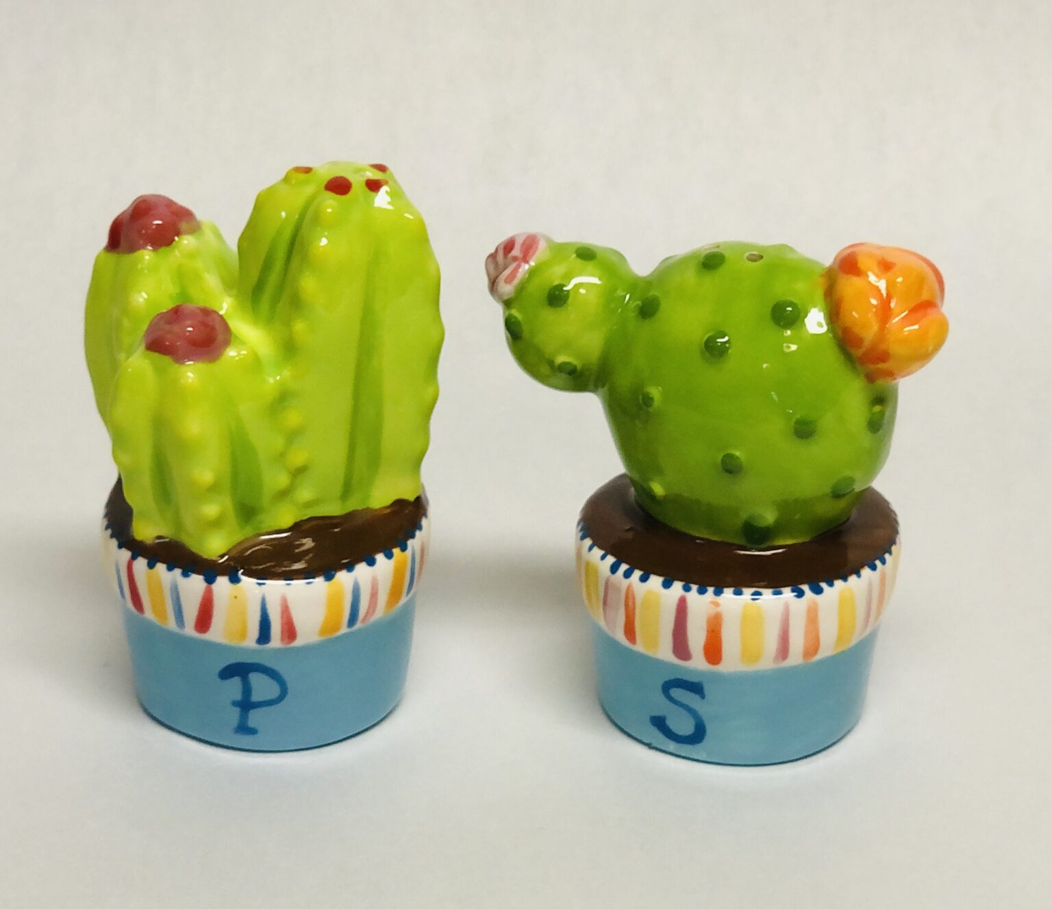 Cactus Salt & Pepper Shakers A Maze In Pottery